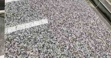 开封 芙蓉白光面