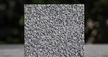 开封 芝麻黑荔枝面