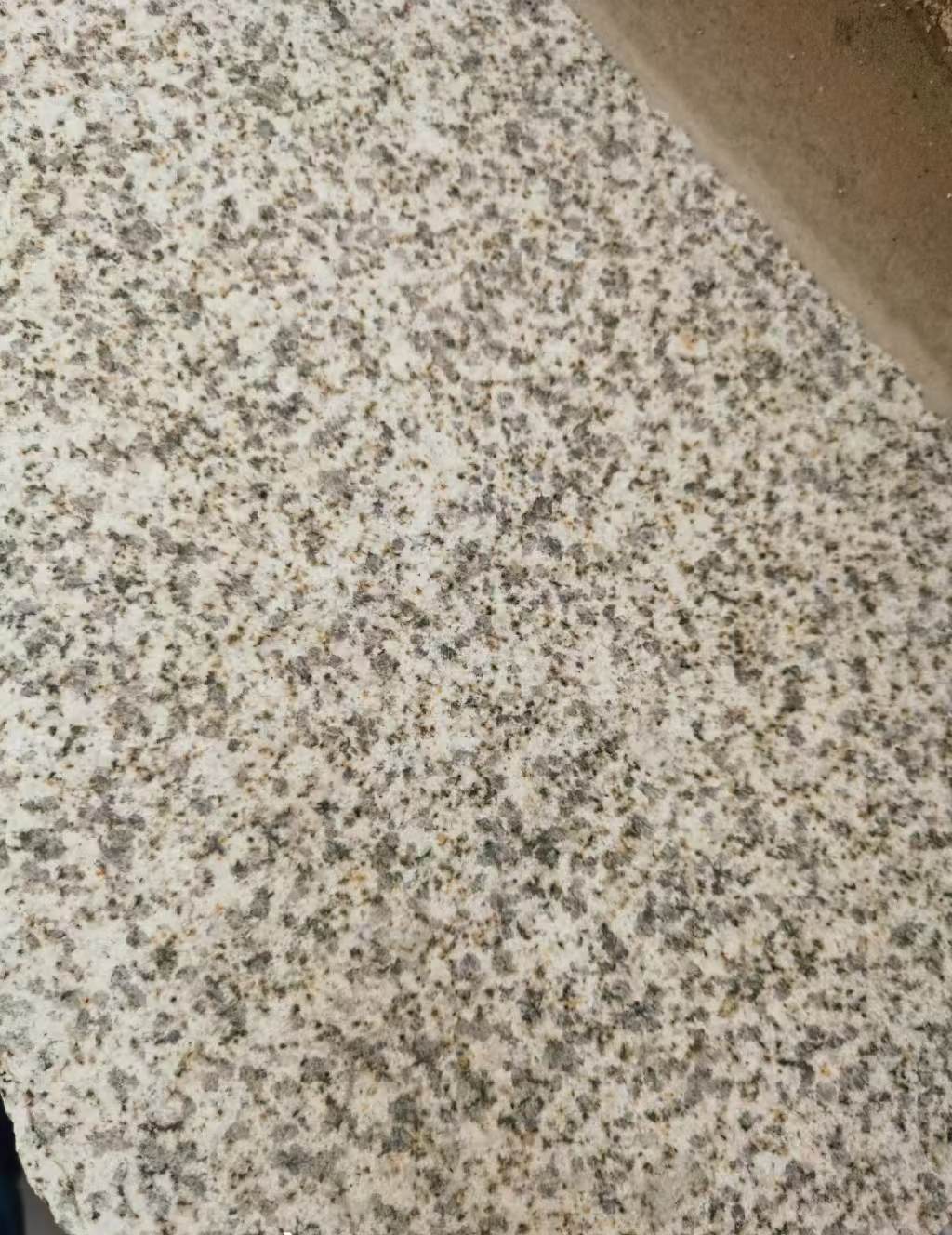 开封 黄金麻中黄光面