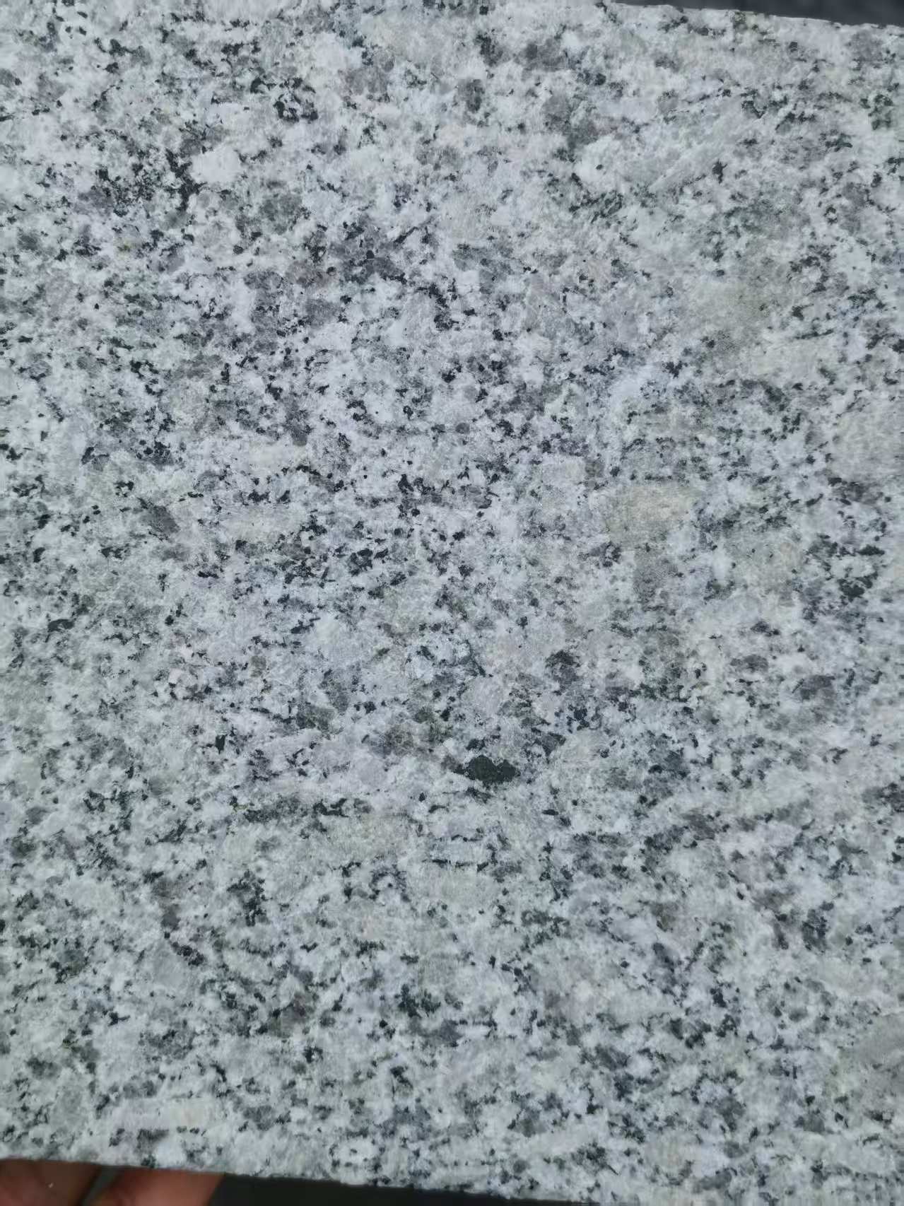 开封 芙蓉白火烧面